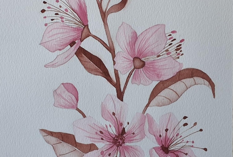 Spring blossom