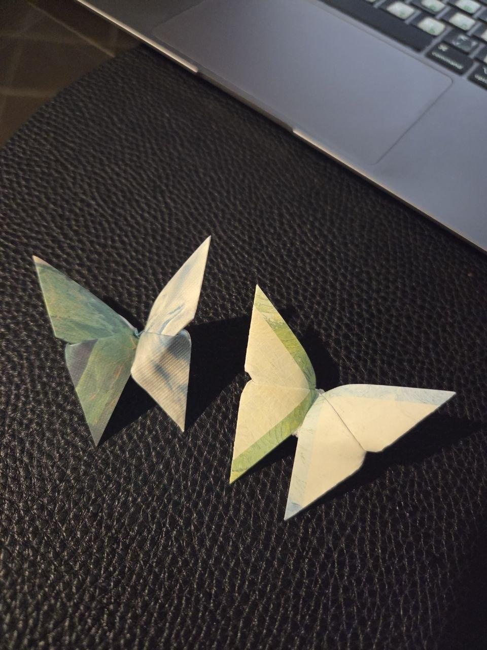 Полевые бабочки - student project