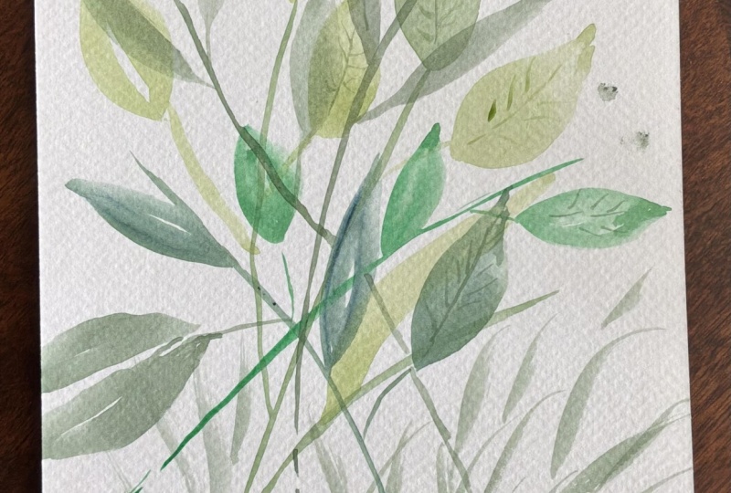 Leaves!