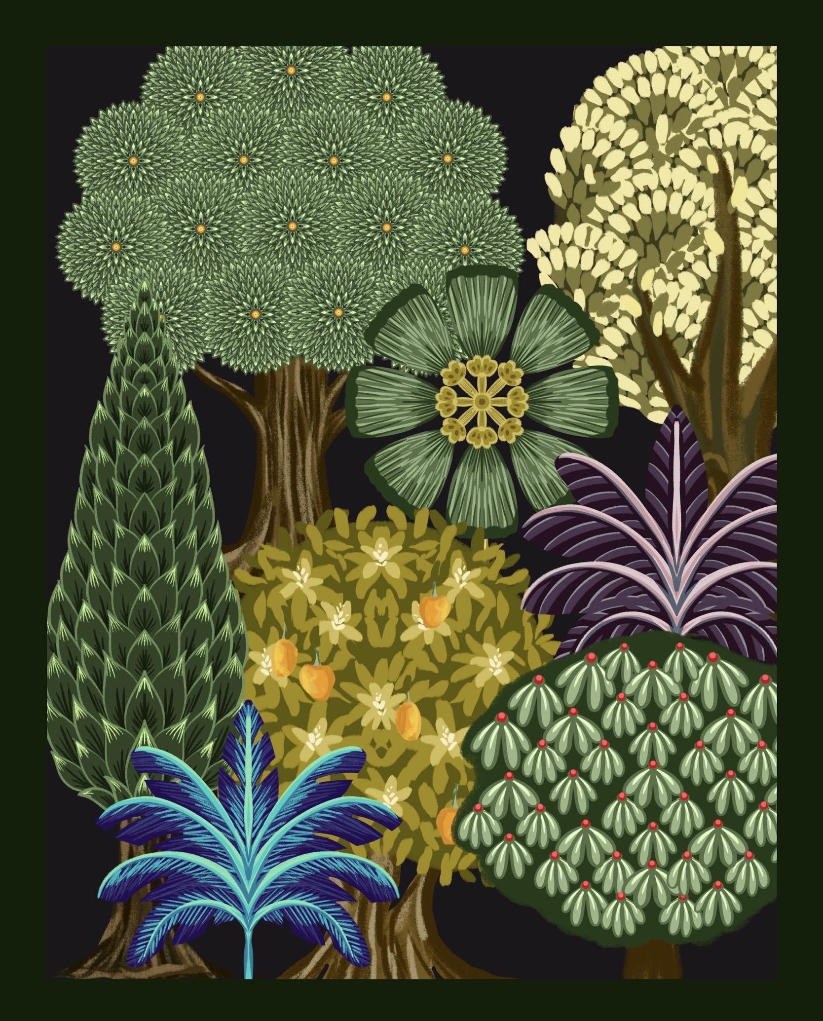 more-projects-from-class-img