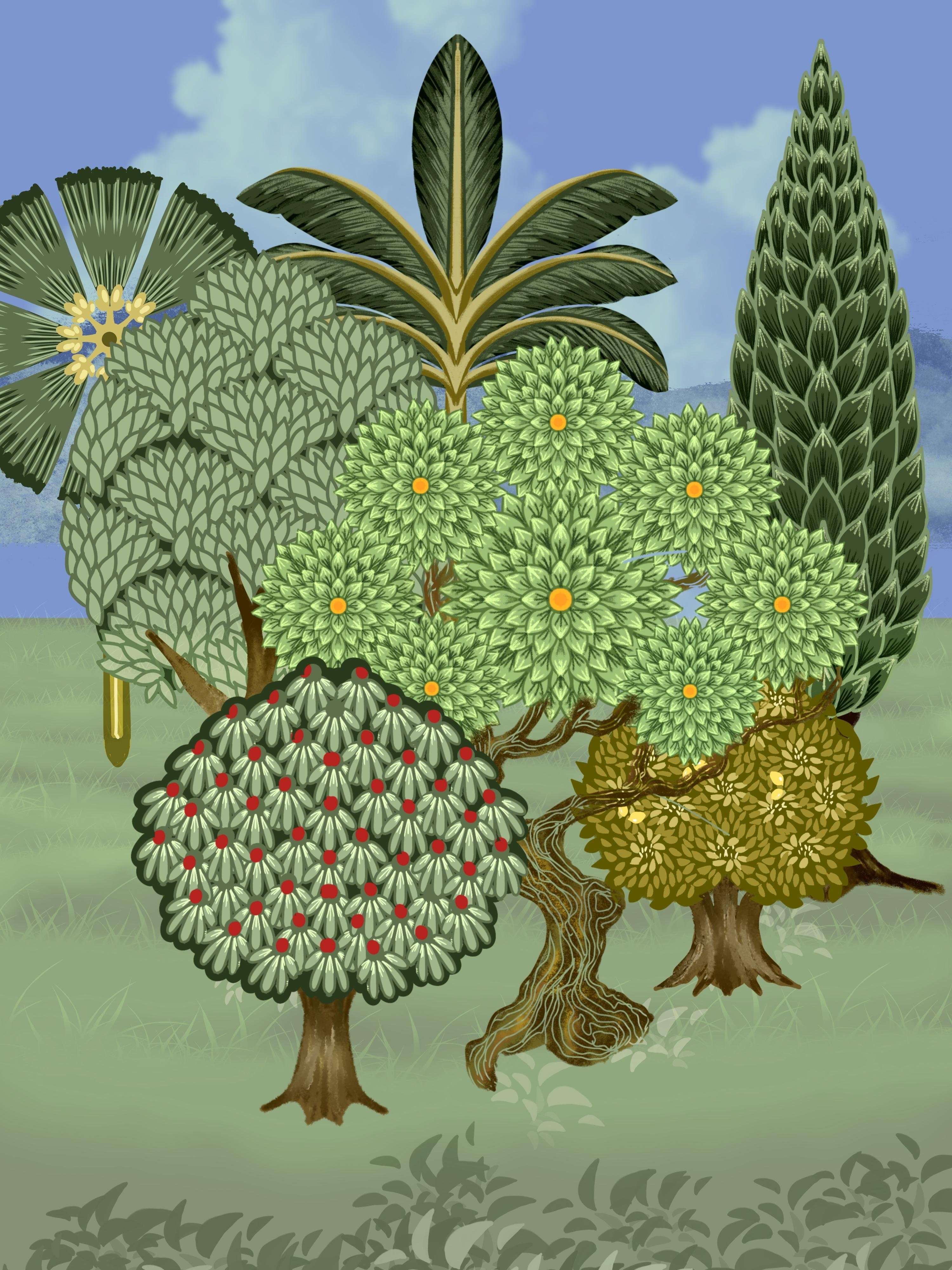 more-projects-from-class-img