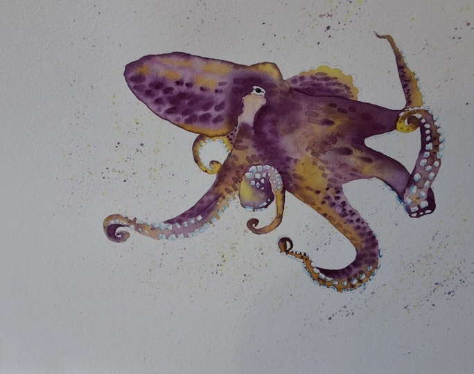 Tropical fish, octopus and jellyfish