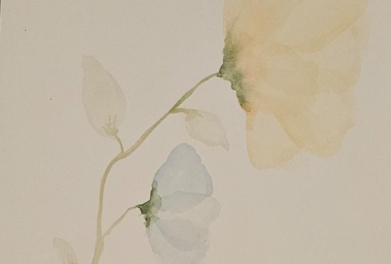 Gentle Blooms