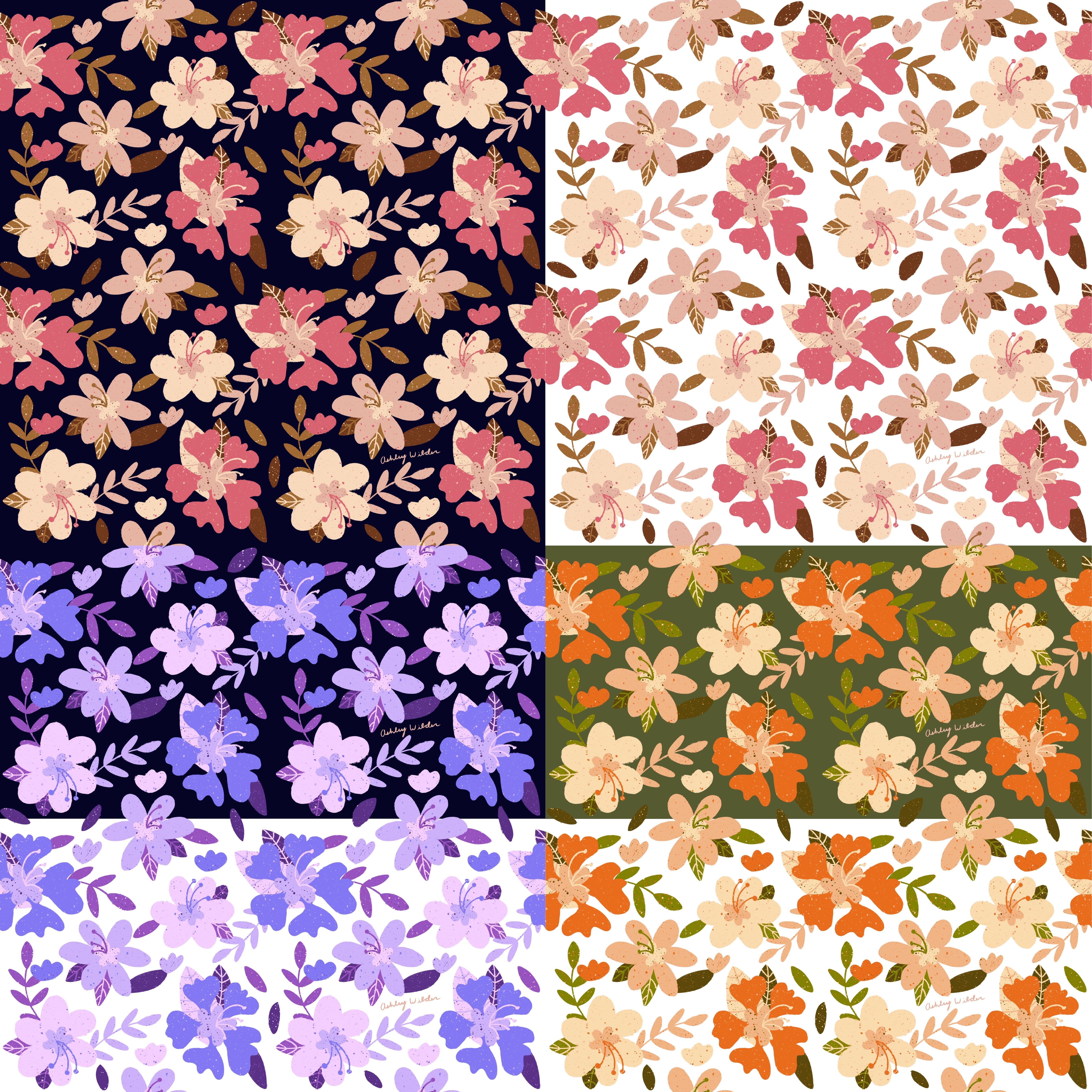 more-projects-from-class-img