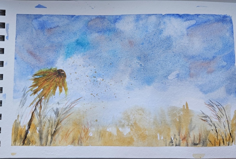 5 min loose landscape