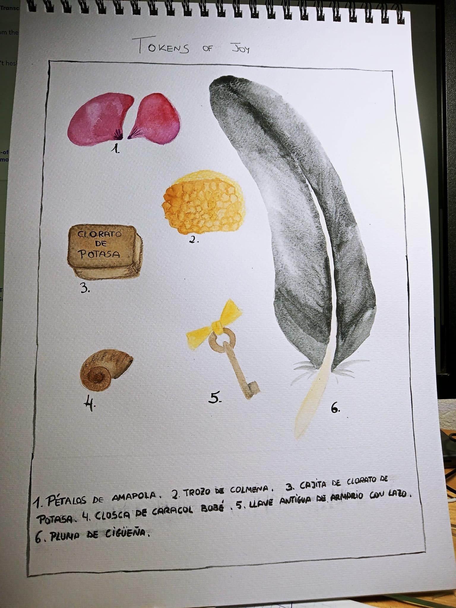 Tokens of Joy Silvia - student project