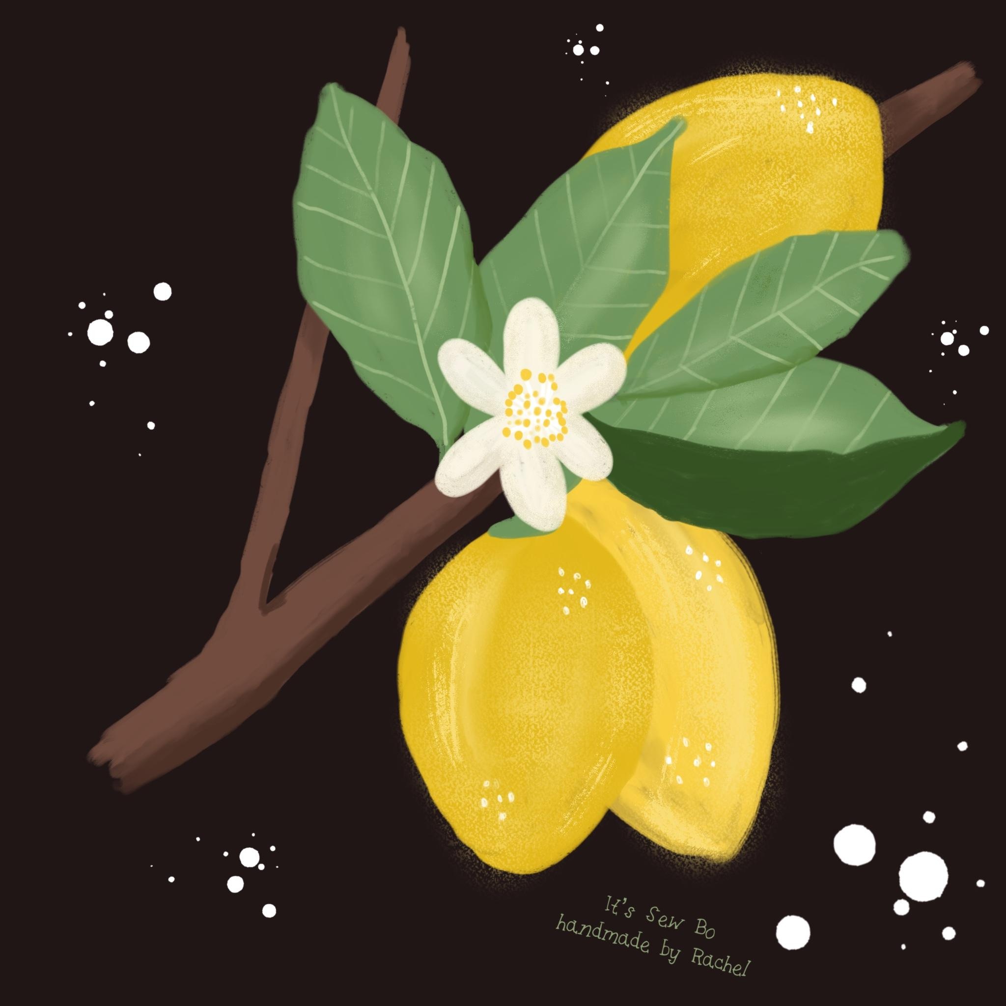 more-projects-from-class-img