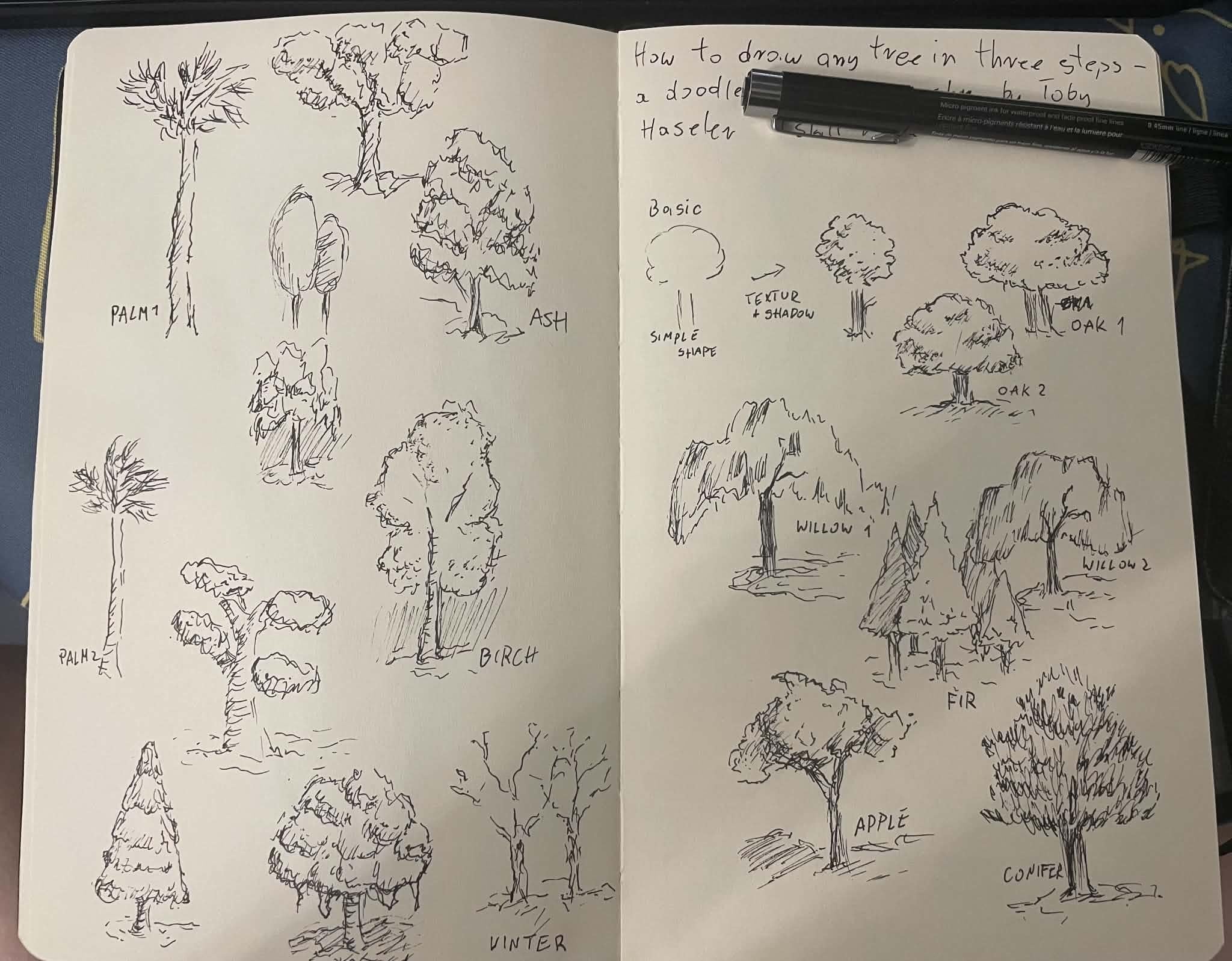 more-projects-from-class-img