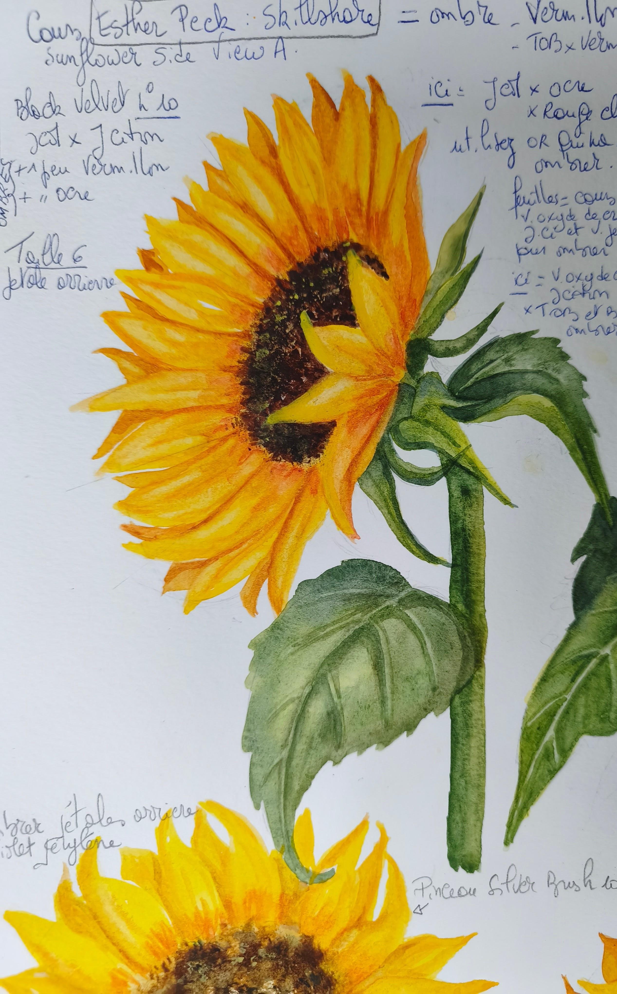 more-projects-from-class-img