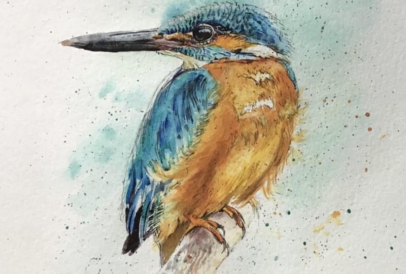Kingfisher in ink and watercolour