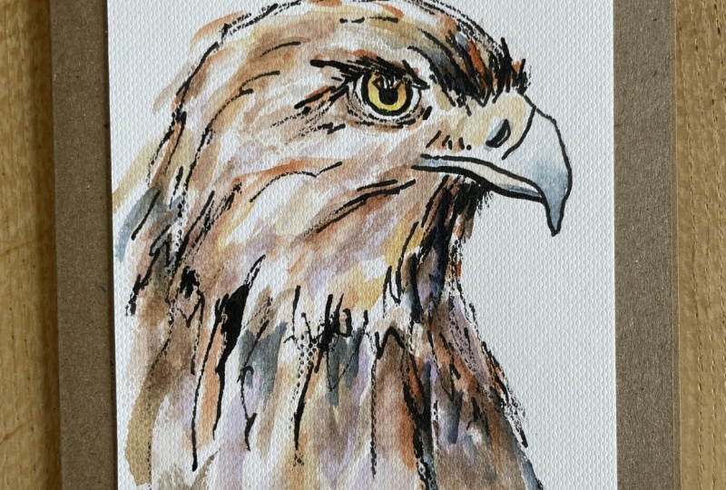 Eagle with ink & twig and watercolours