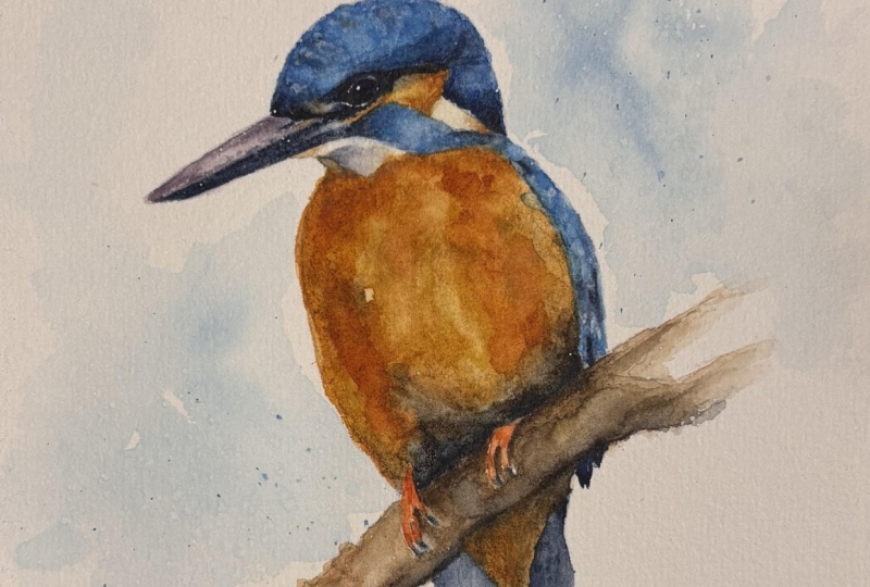 Kingfisher