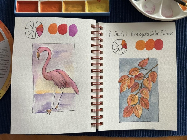 Analogous Color Study