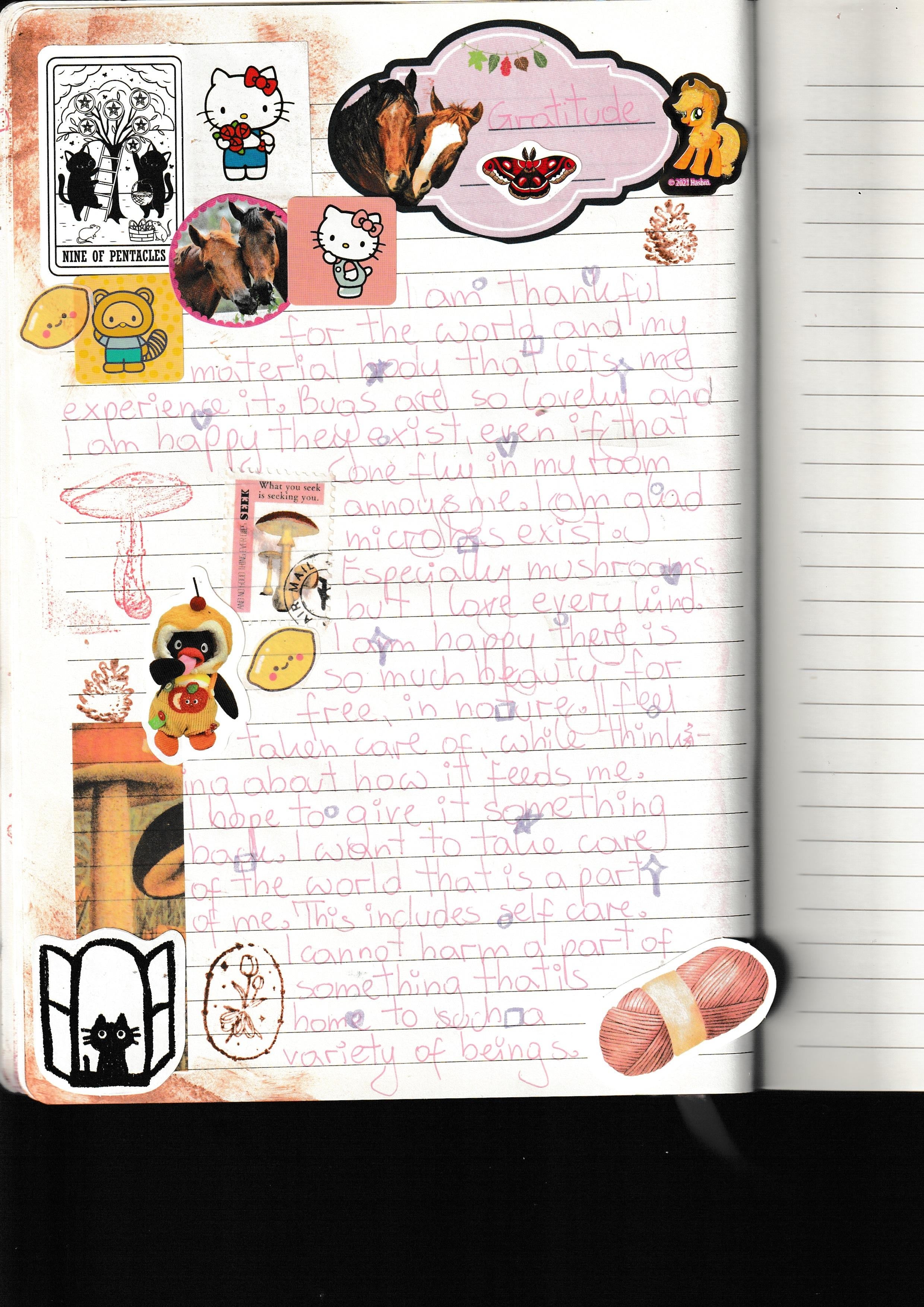 more-projects-from-class-img