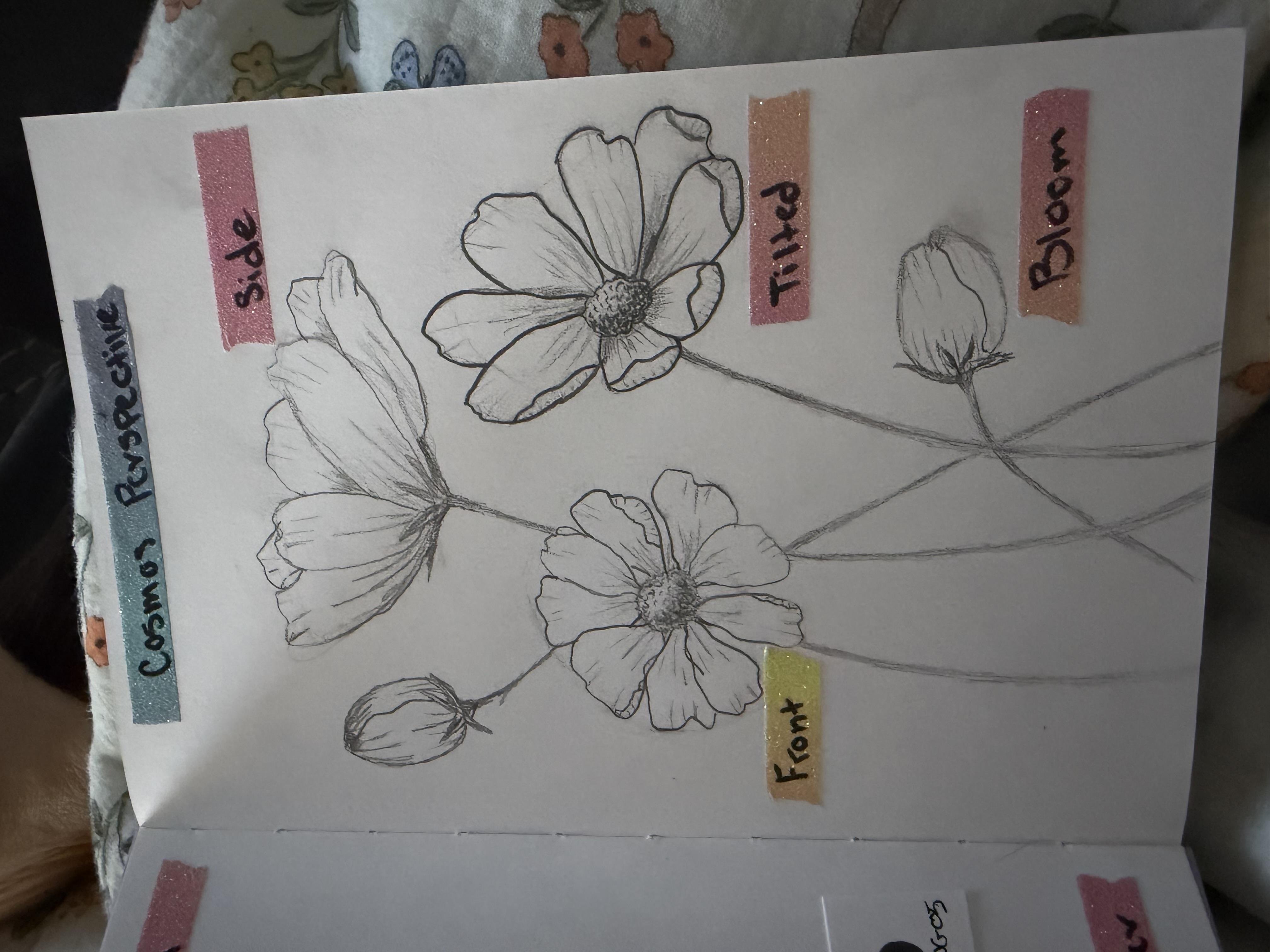 more-projects-from-class-img