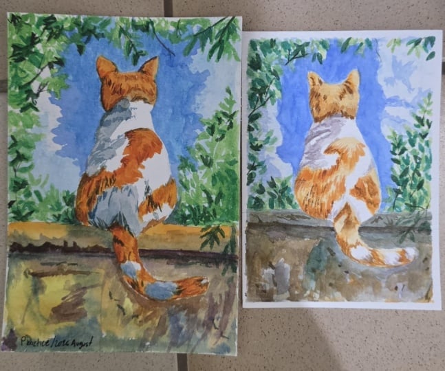 My practice
