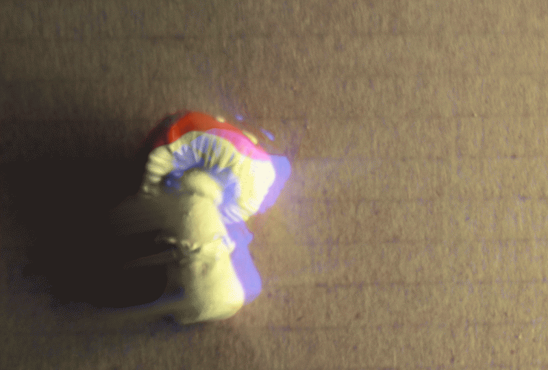 Star Mushroom Morph Motion