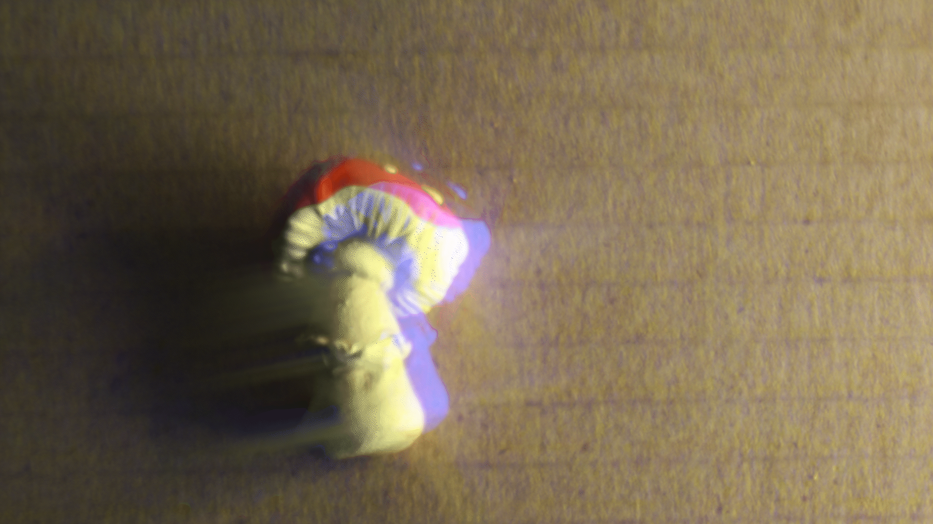 Star Mushroom Morph Motion - student project