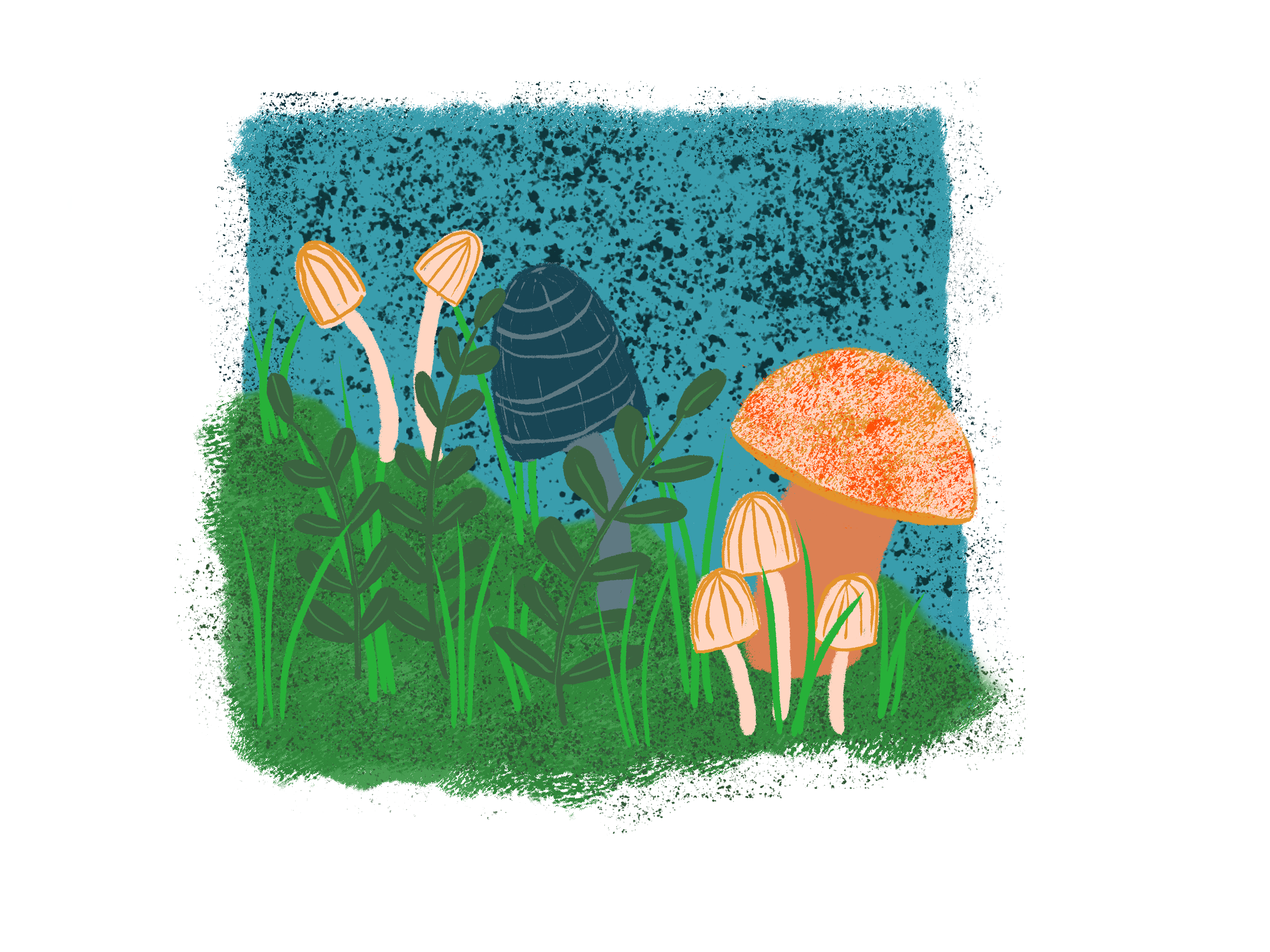more-projects-from-class-img