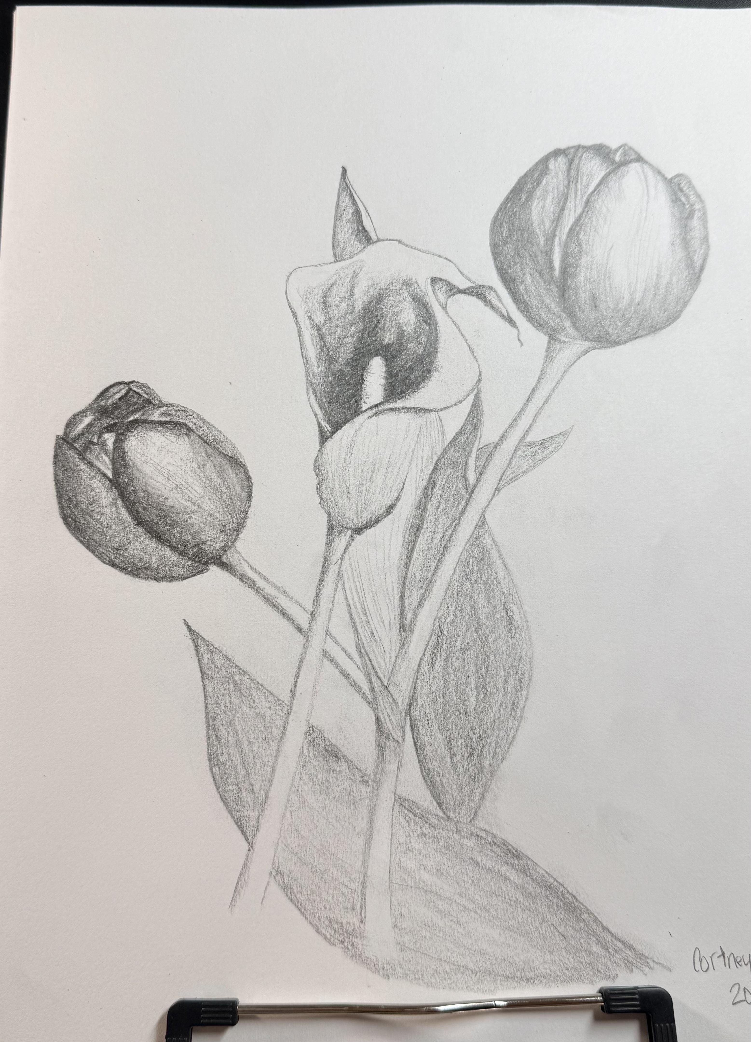 more-projects-from-class-img