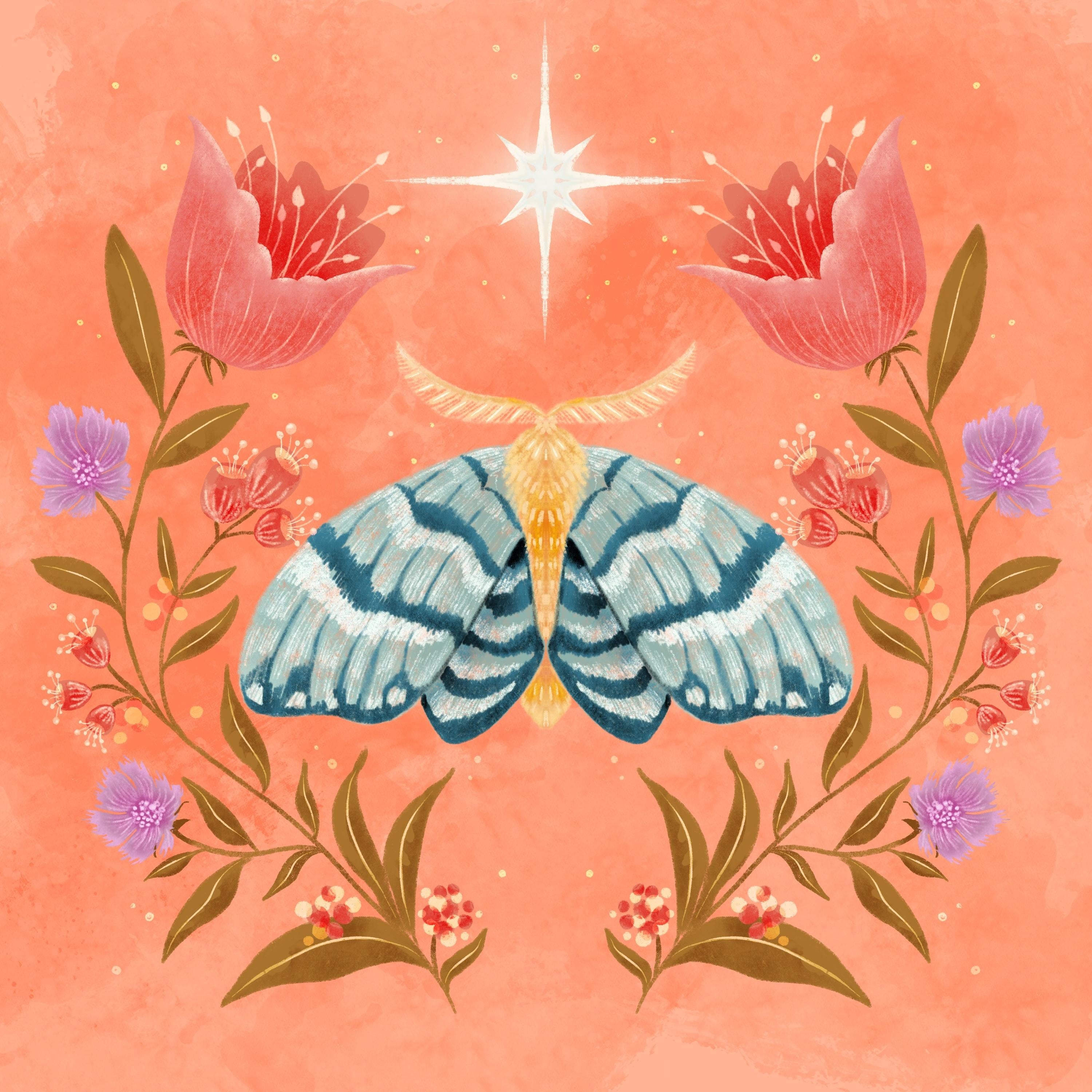 more-projects-from-class-img