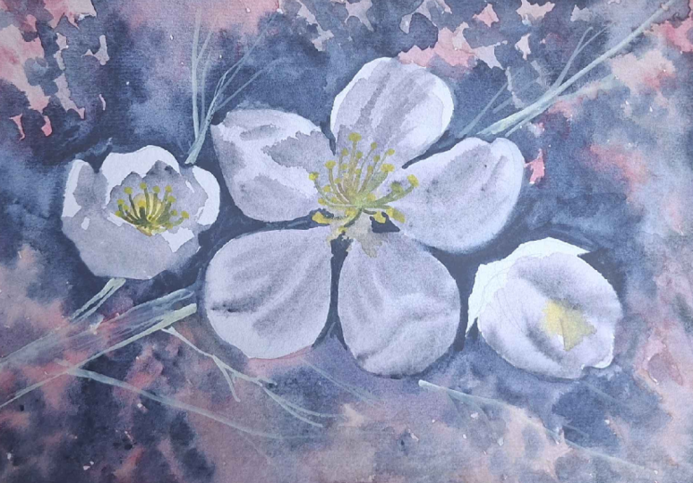 Ugly flowers (2)