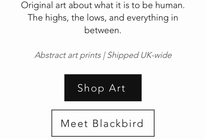 Blackbird has taken flight