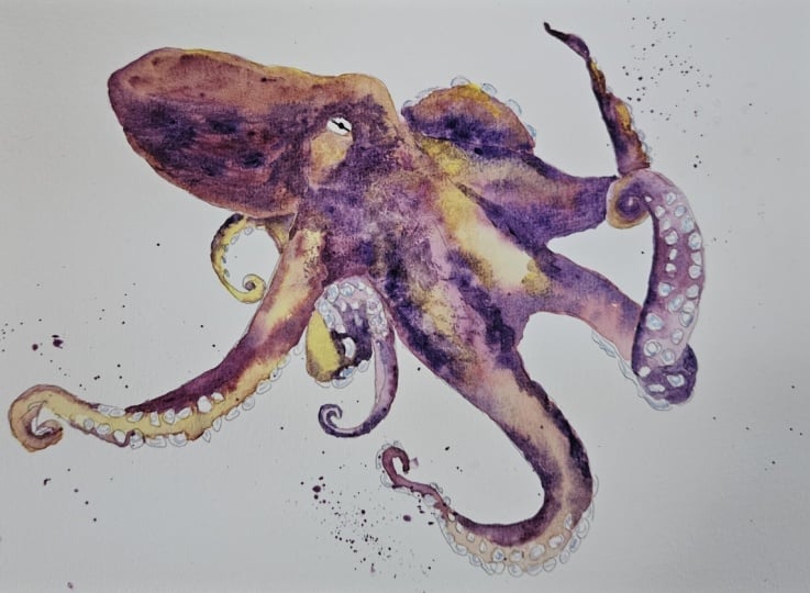 Purple octopus