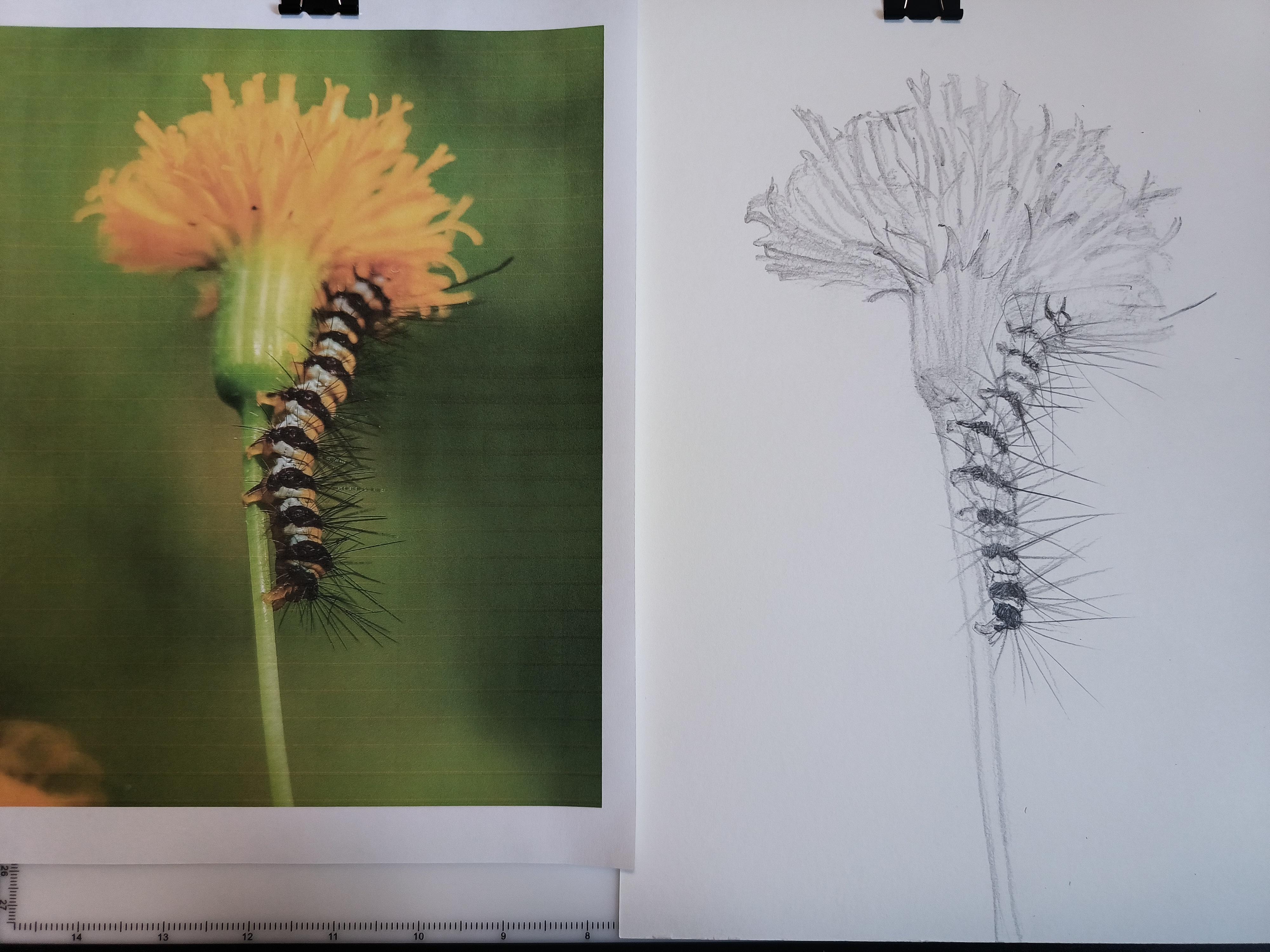 more-projects-from-class-img
