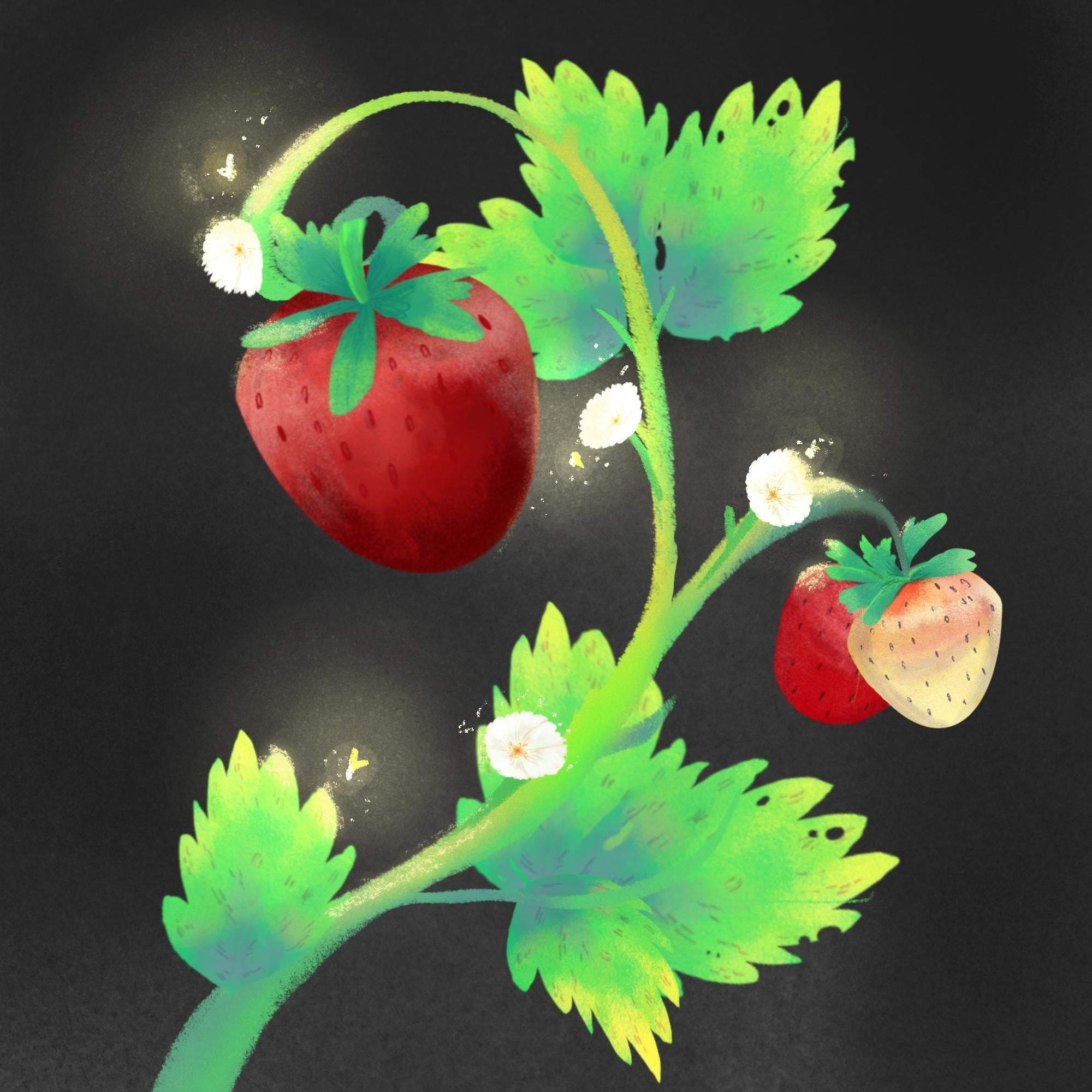 more-projects-from-class-img