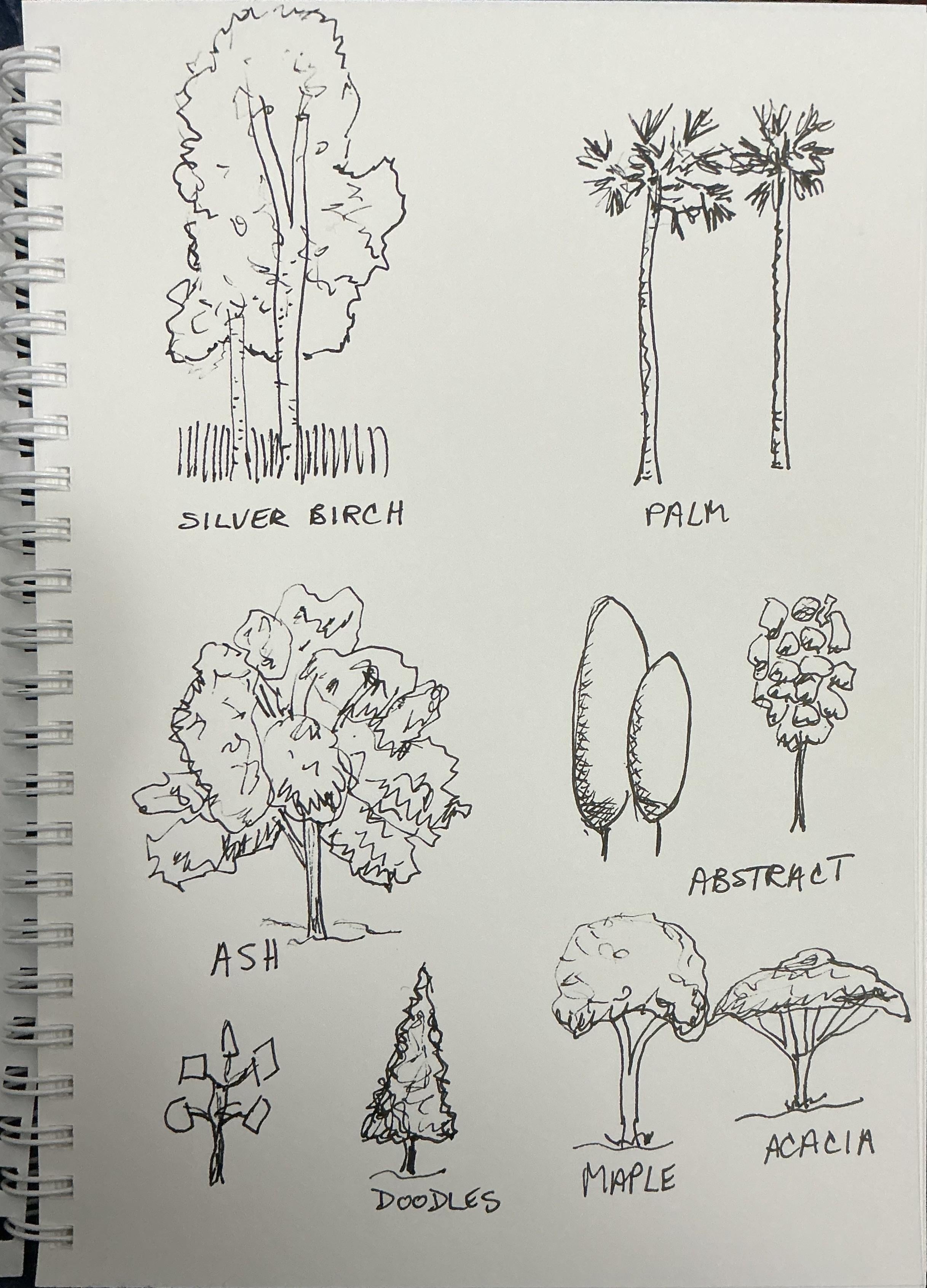 more-projects-from-class-img