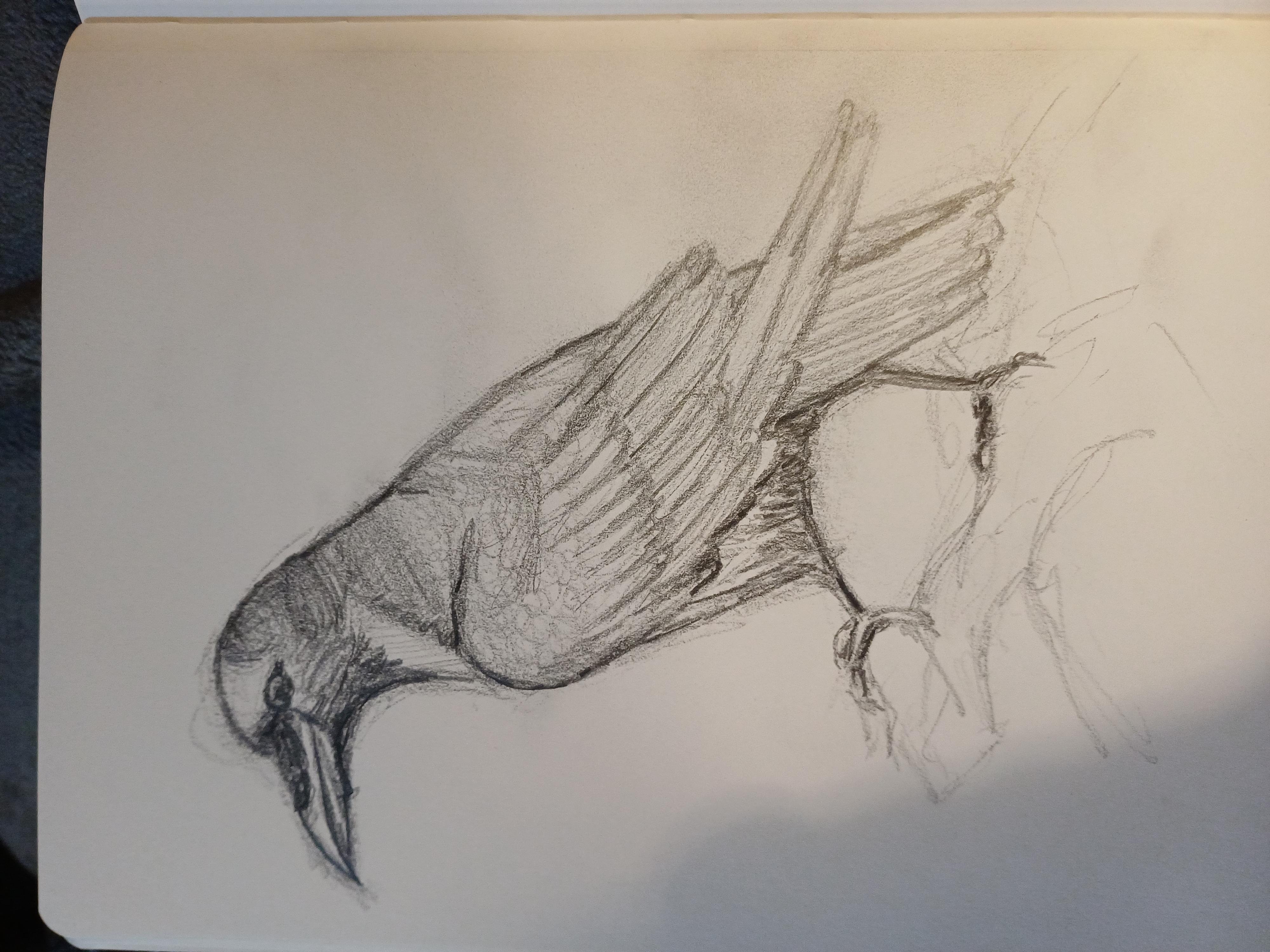 more-projects-from-class-img