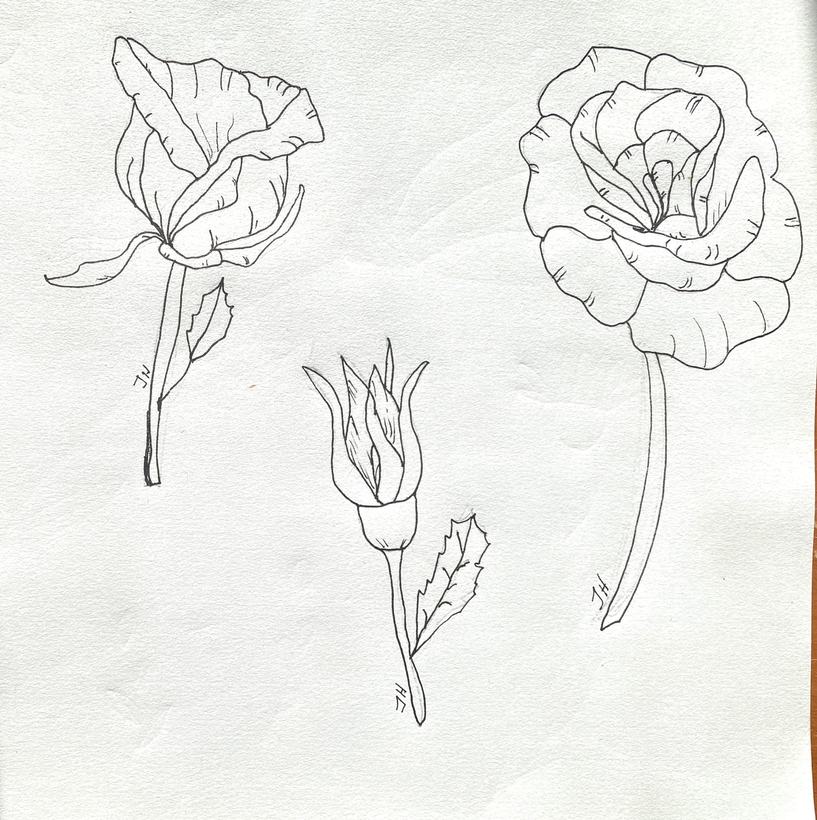 more-projects-from-class-img