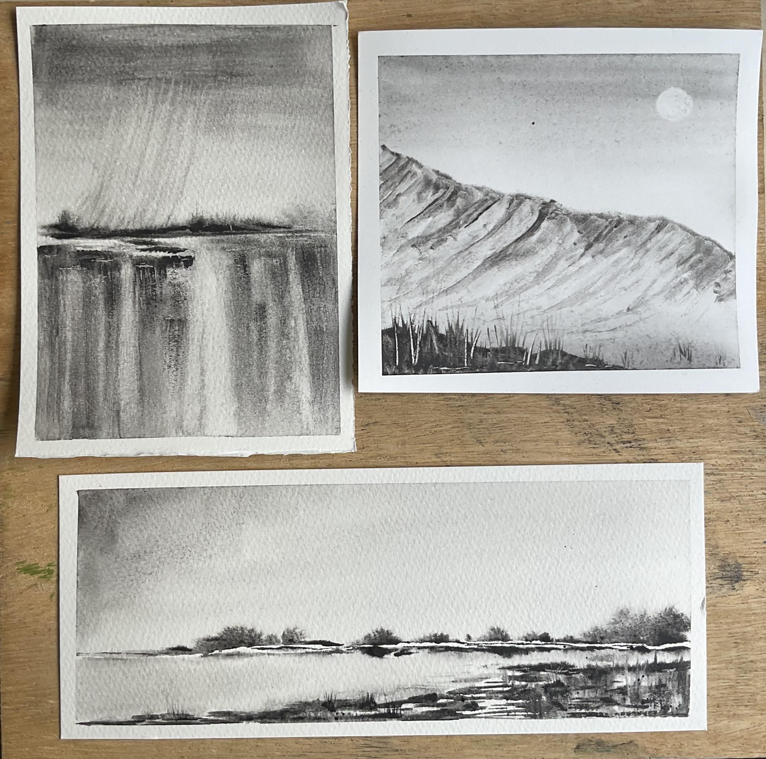 First attempts at liquid charcoal landscapes - student project