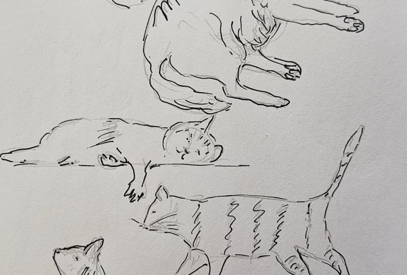 Sketching cats 3 ways