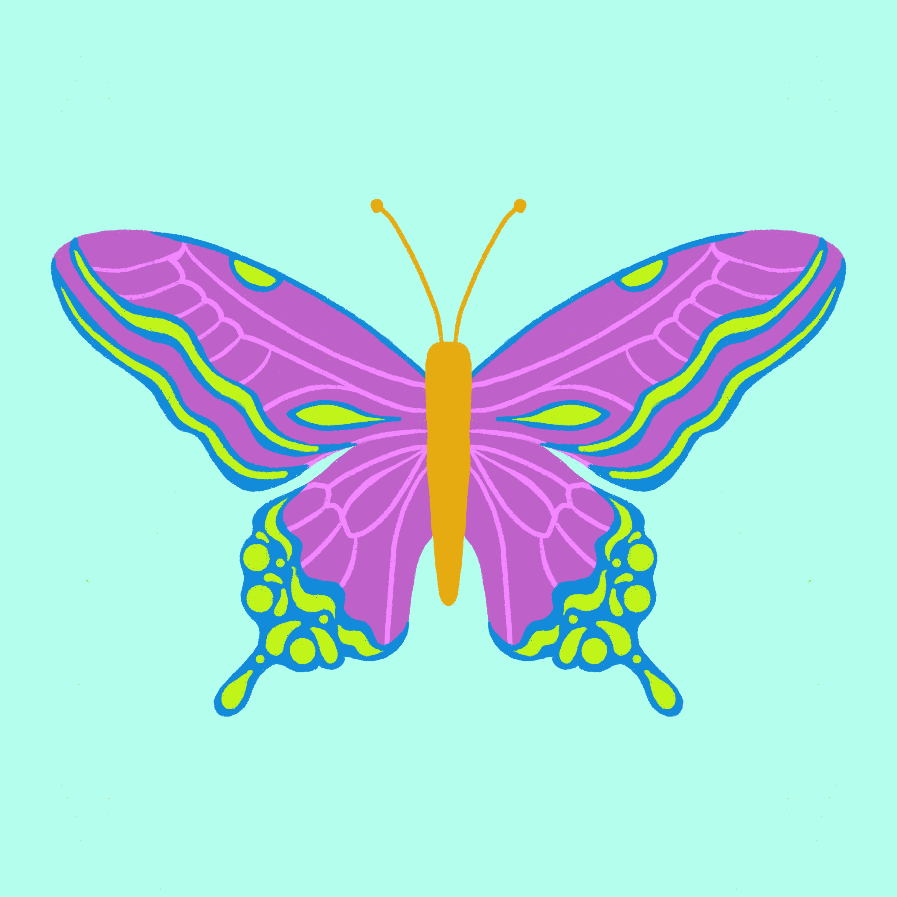 more-projects-from-class-img