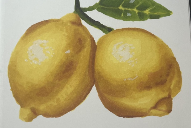 Lemons with Ohuhu Markers
