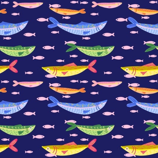 Sardine-Play