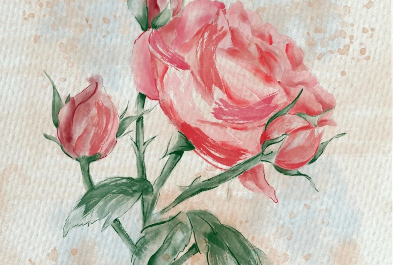 Watercolor Roses
