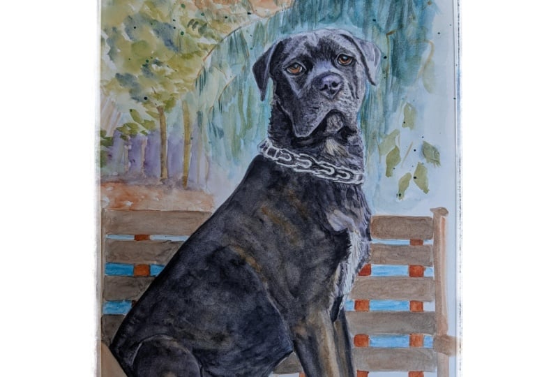 Watercolor Pet Portraits: Black Dogs with Emily