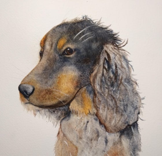 Black Dog Twig