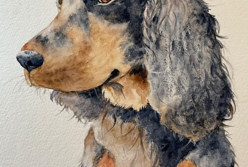 “Twig” Jane’s lovely spaniel