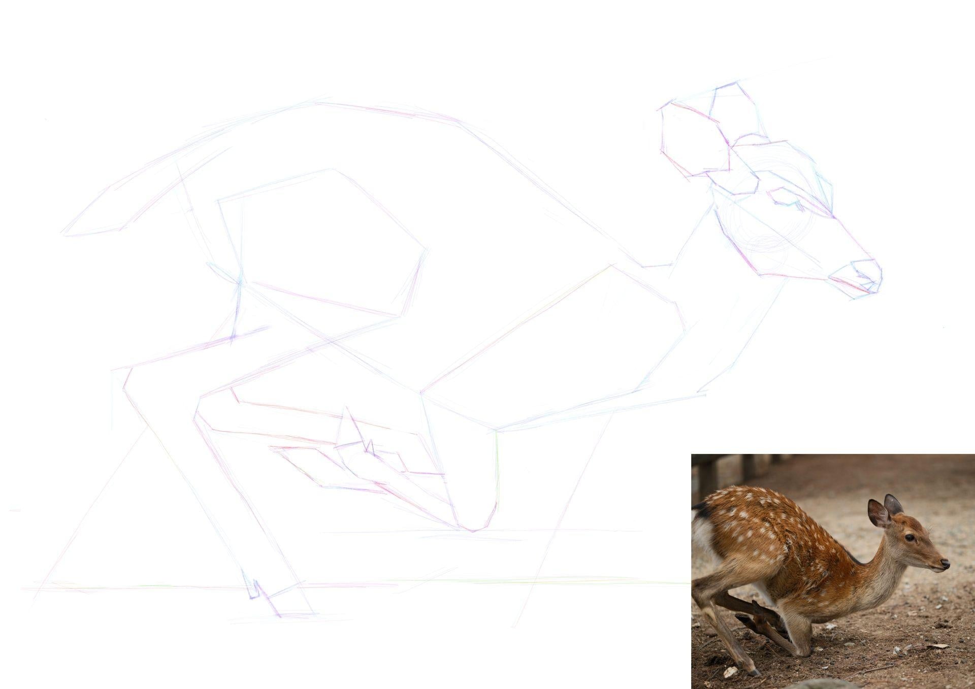 more-projects-from-class-img