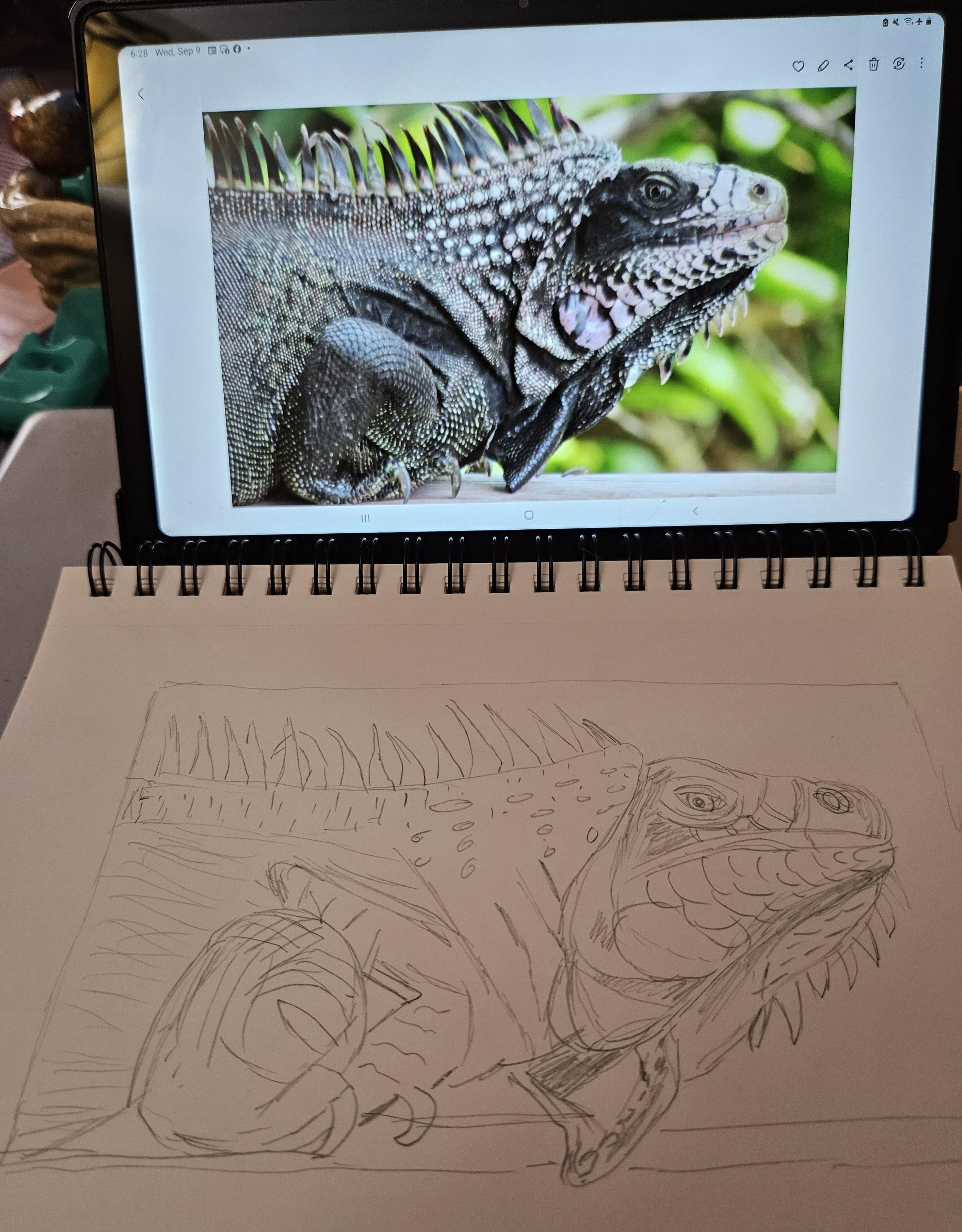 more-projects-from-class-img
