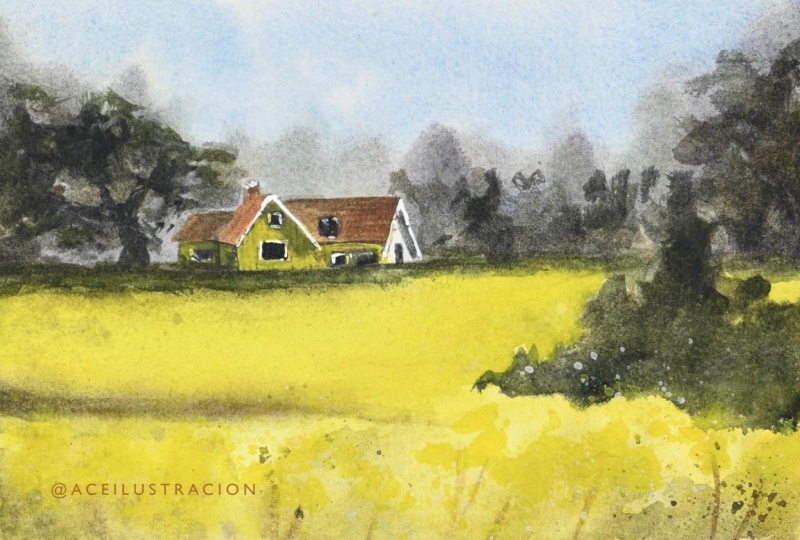 Sweeden's Yellow.