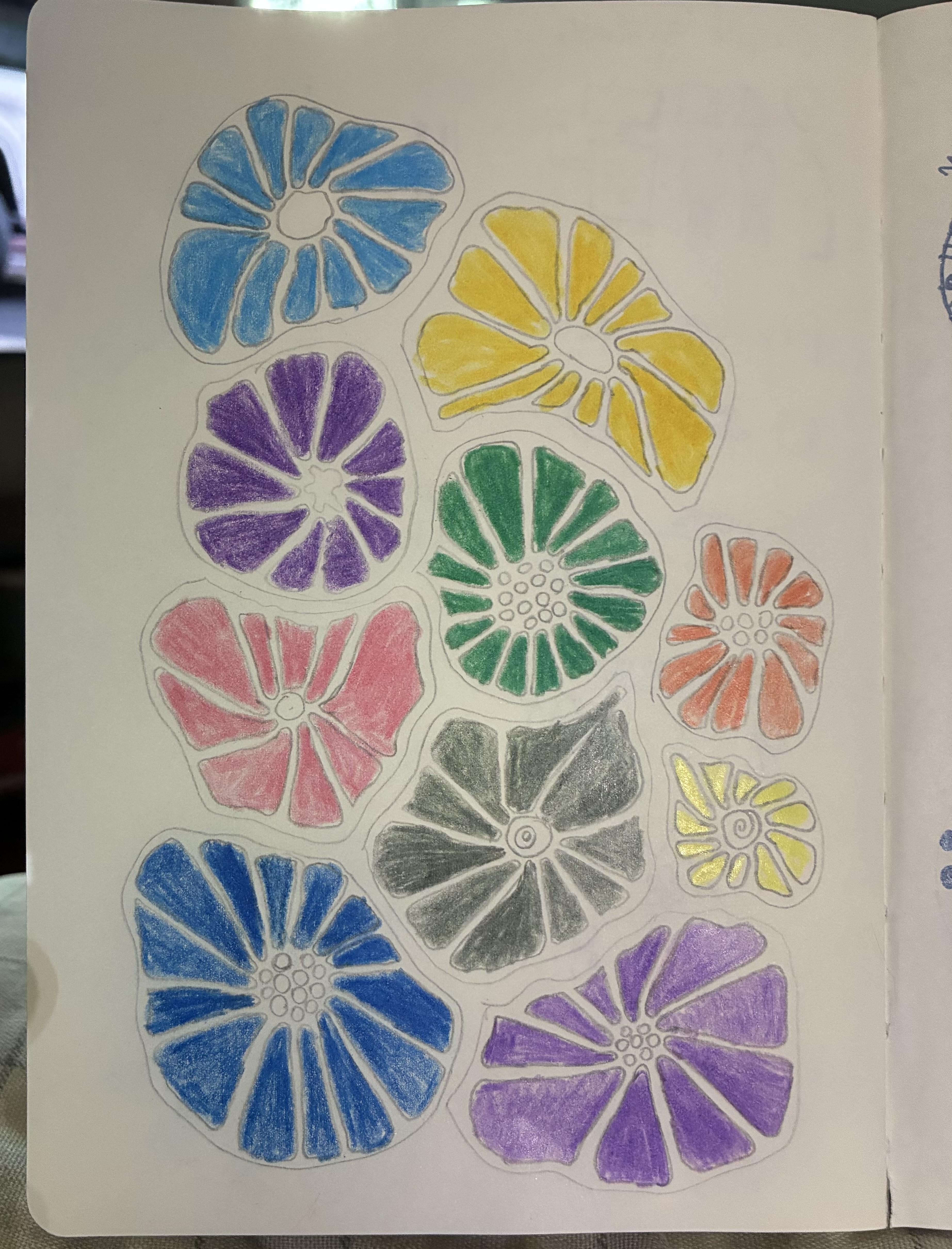 more-projects-from-class-img