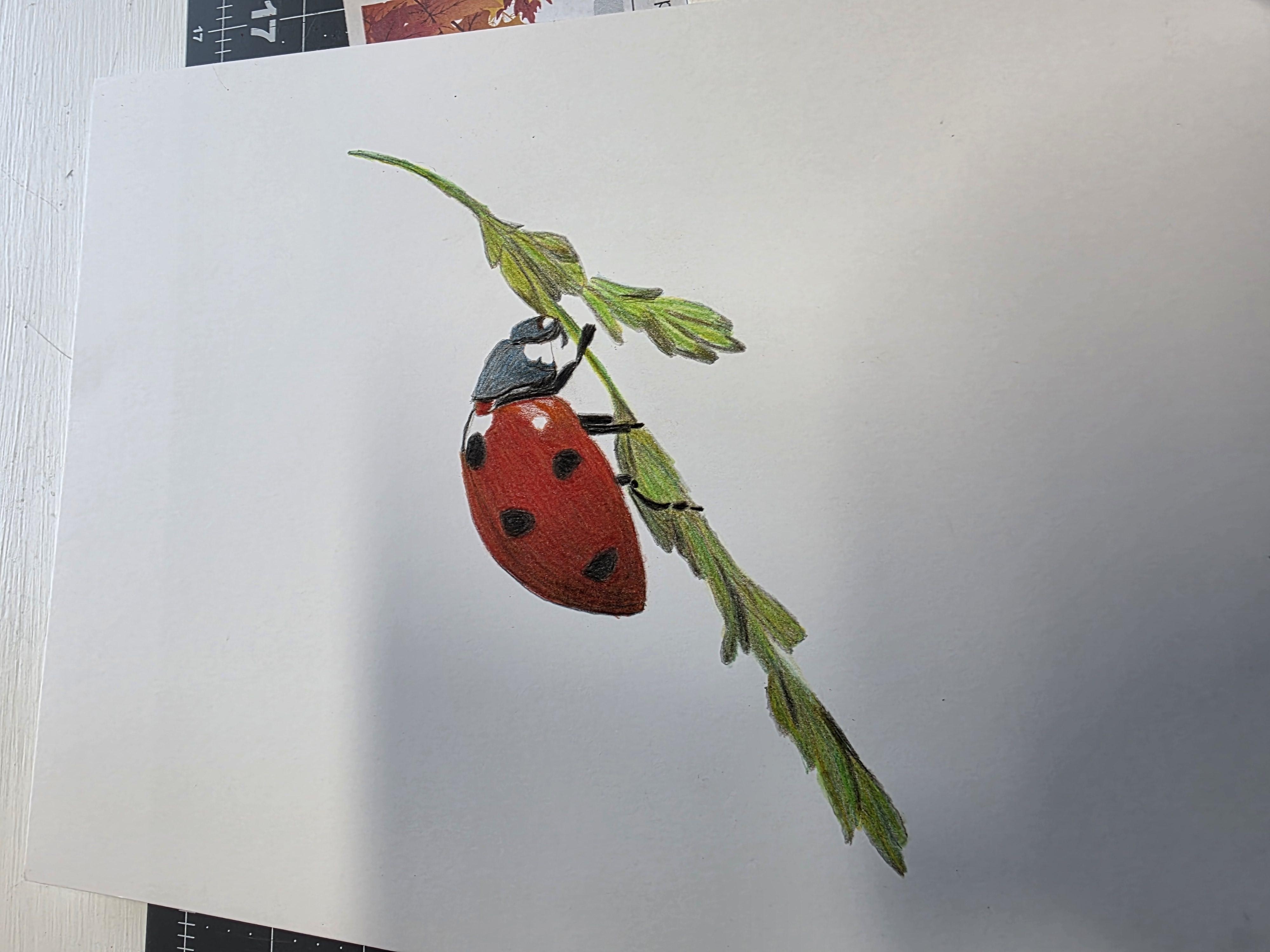 more-projects-from-class-img
