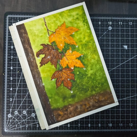 Autumn Escape🍁