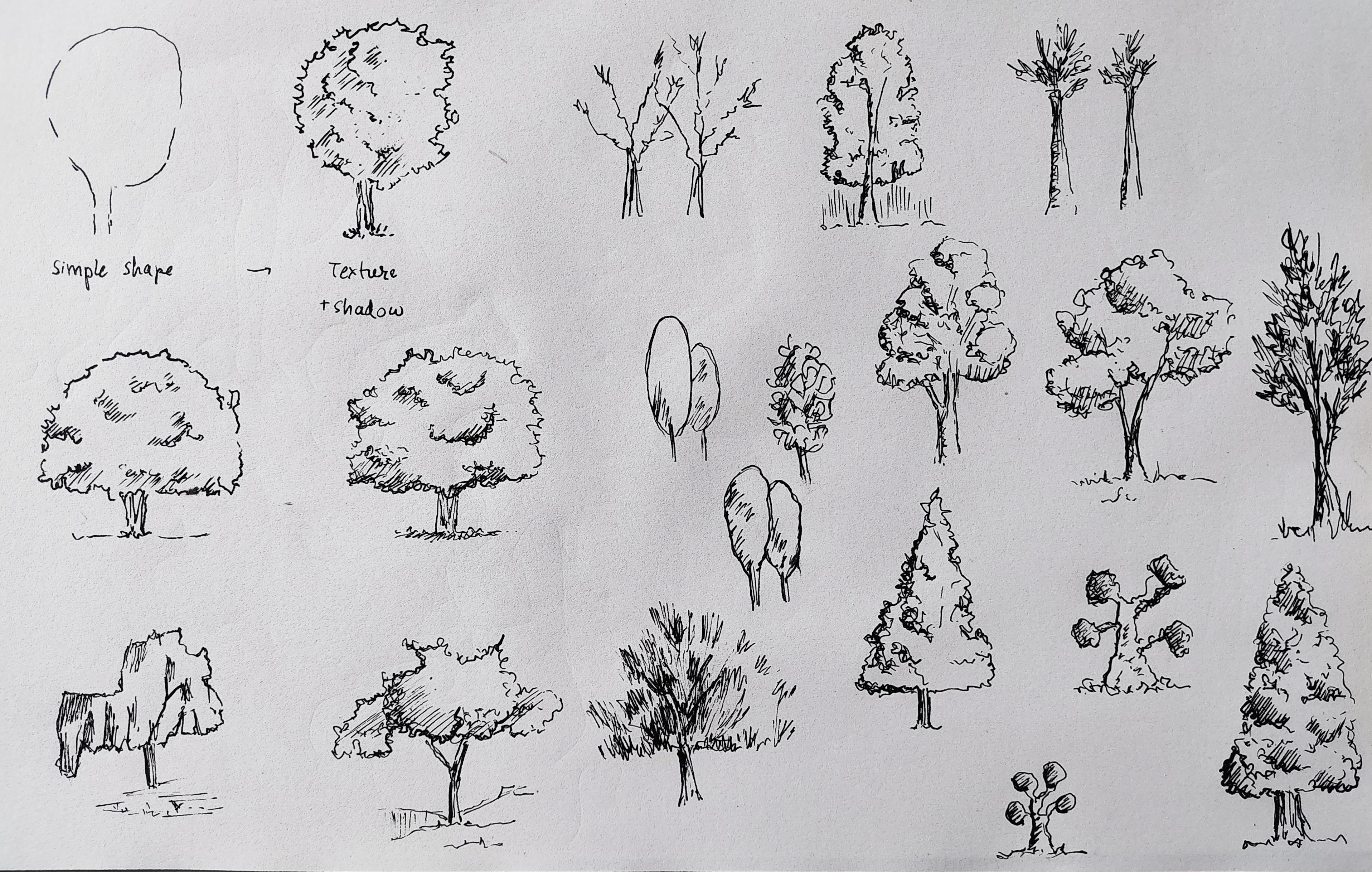 more-projects-from-class-img