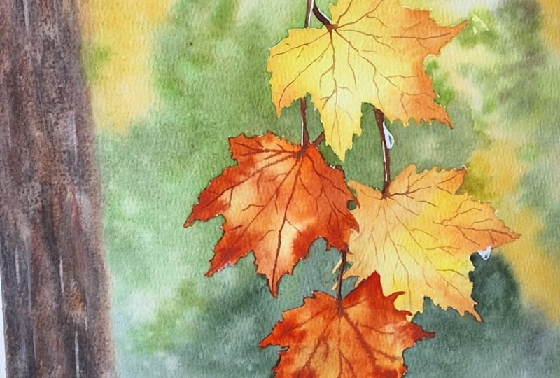 Autumn  escape